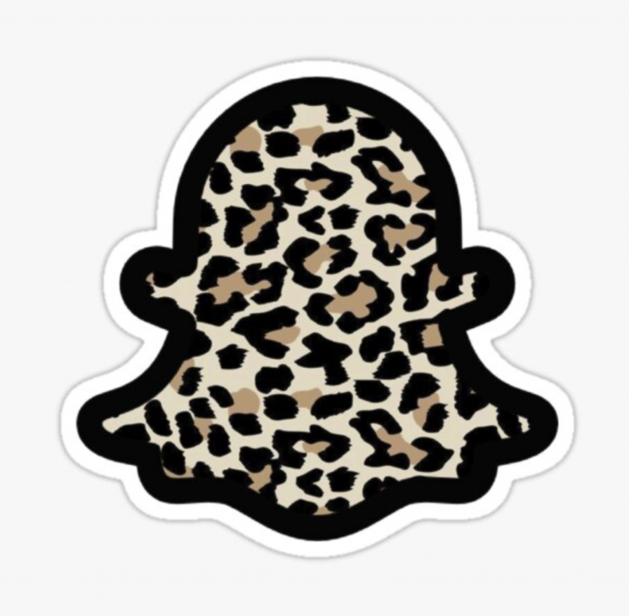 Aesthetic Snapchat logo (leopard, cheetah print) Cheetah, leopard aesthetic Snapchat logo, no face.