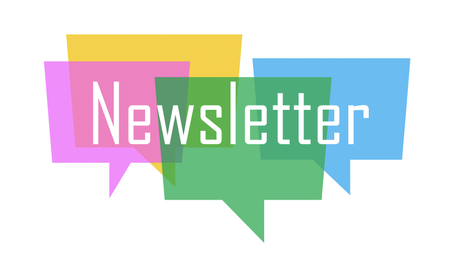 newsletter; How to Build A Newsletter Audience